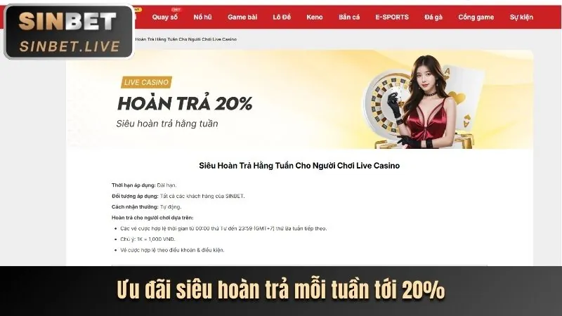 Giao diện cá cược thể thao đa dạng của dbet12